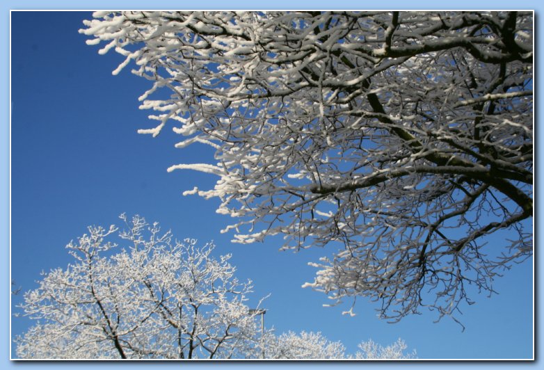 Arnhem Snow 147